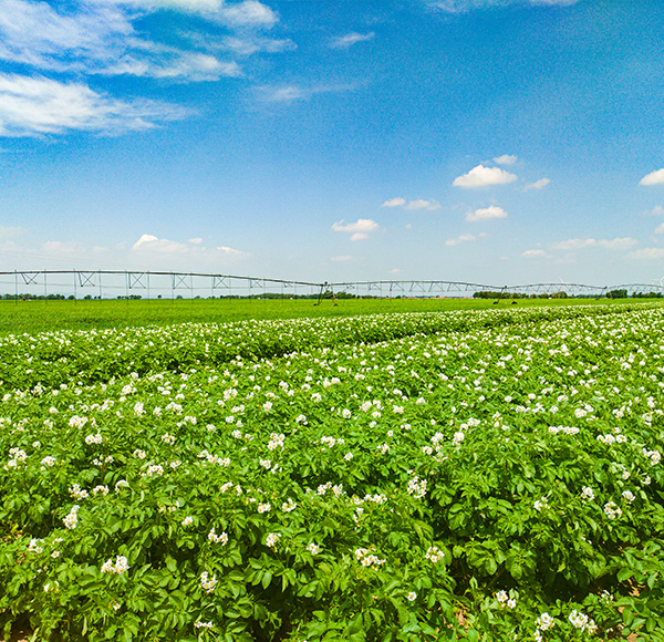 JBO��Ѷ(�й���)�ٷ���վ