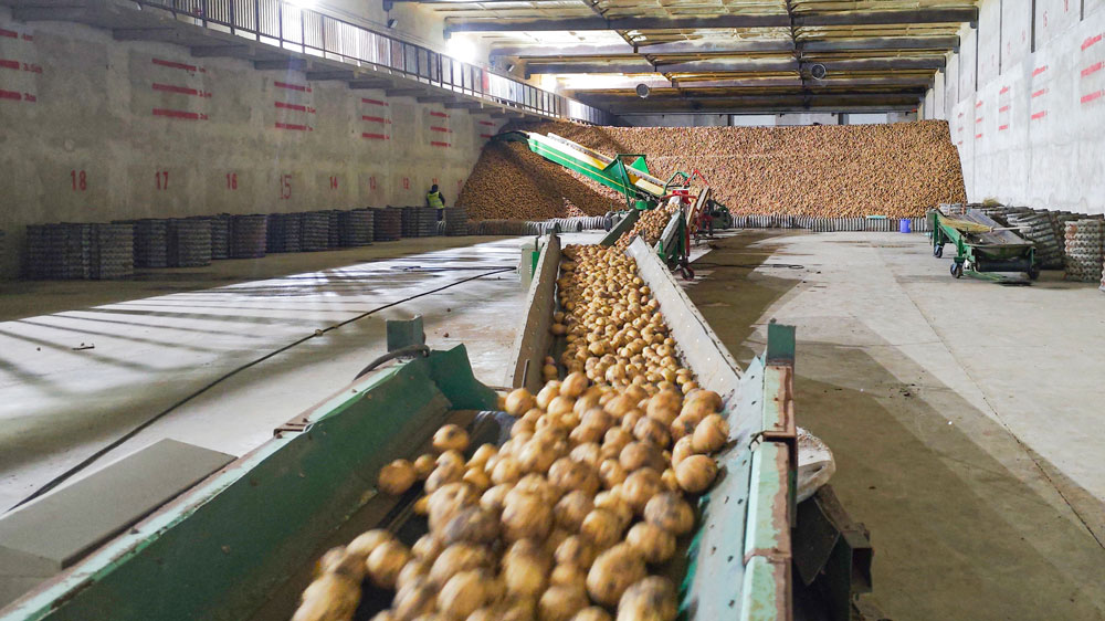 JBO��Ѷ��(�й���)�ٷ���վũҵ�������ִ�